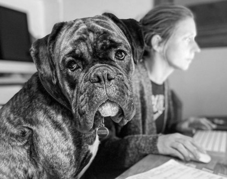 Hobbes - Head of Recycling